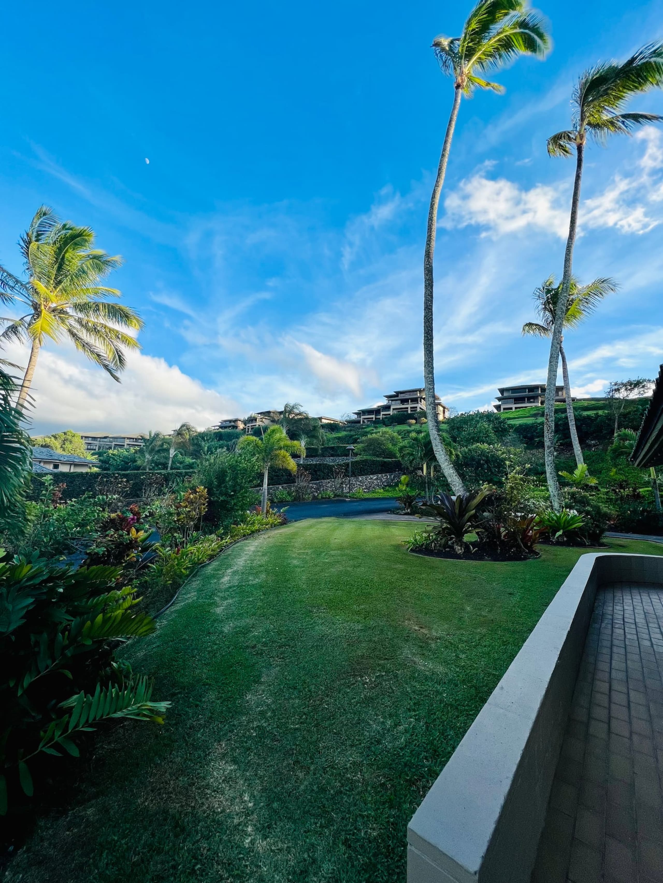 Villa in Lahaina · ★4.91 · 1 bedroom · 2 beds · 2 baths - Image 20