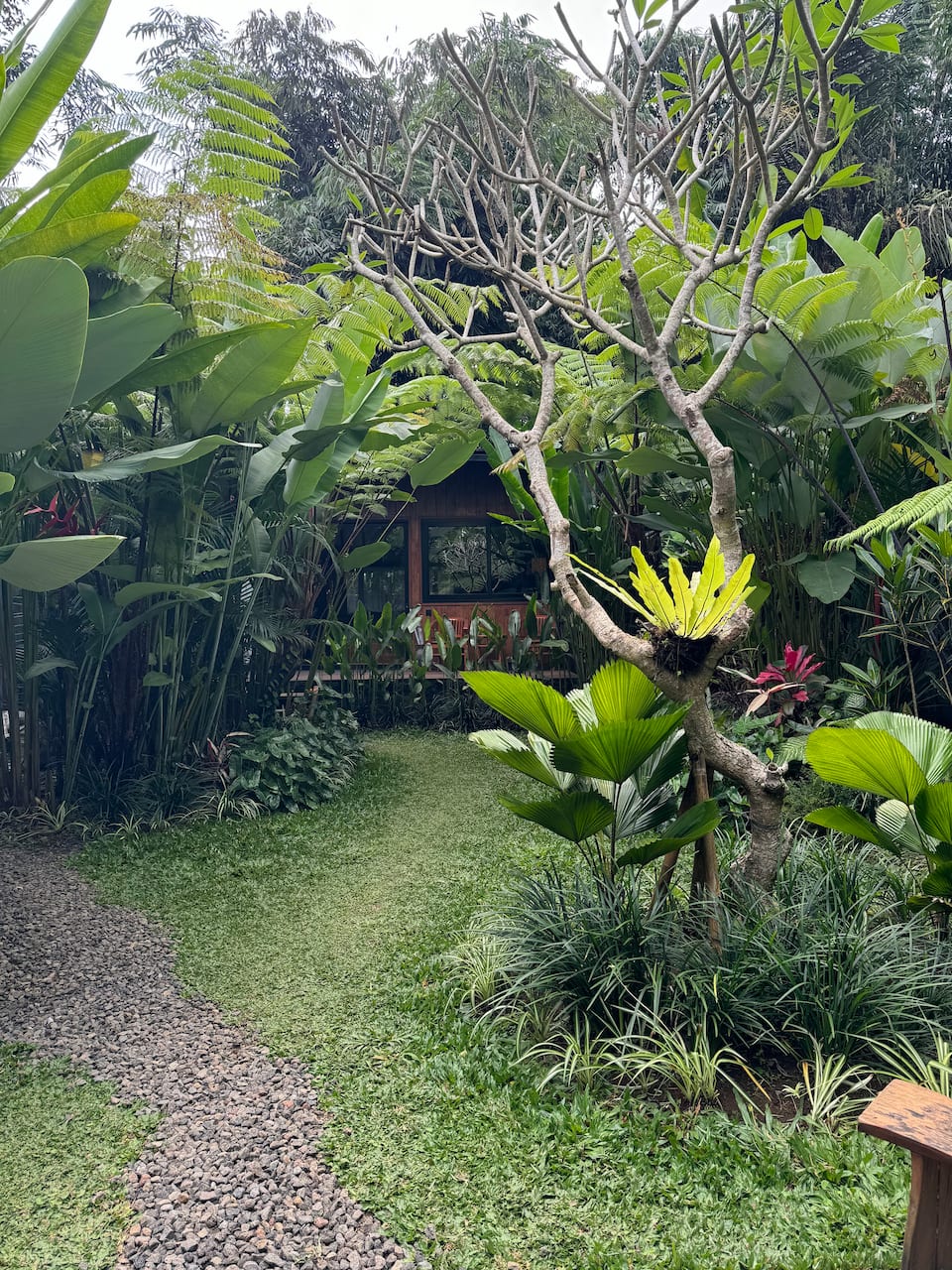 A reclaimed-wood cabin in the Balinese jungle, Tampaksiring, Bali, Indonesia, photo 6 of 10