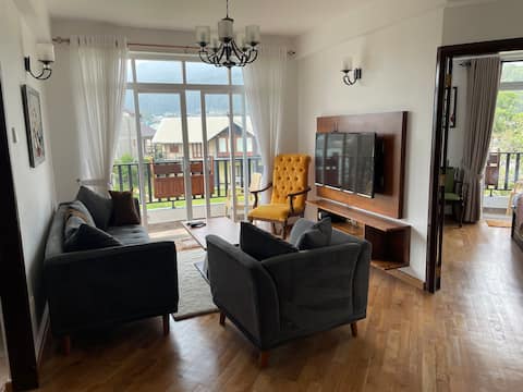 Mount view 44