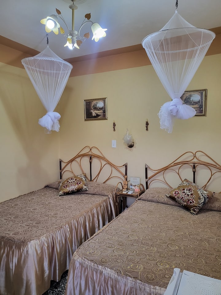 غرفة مزدوجة مع خدمة ناموسية 