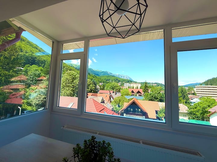 Mountainview - Sinaia