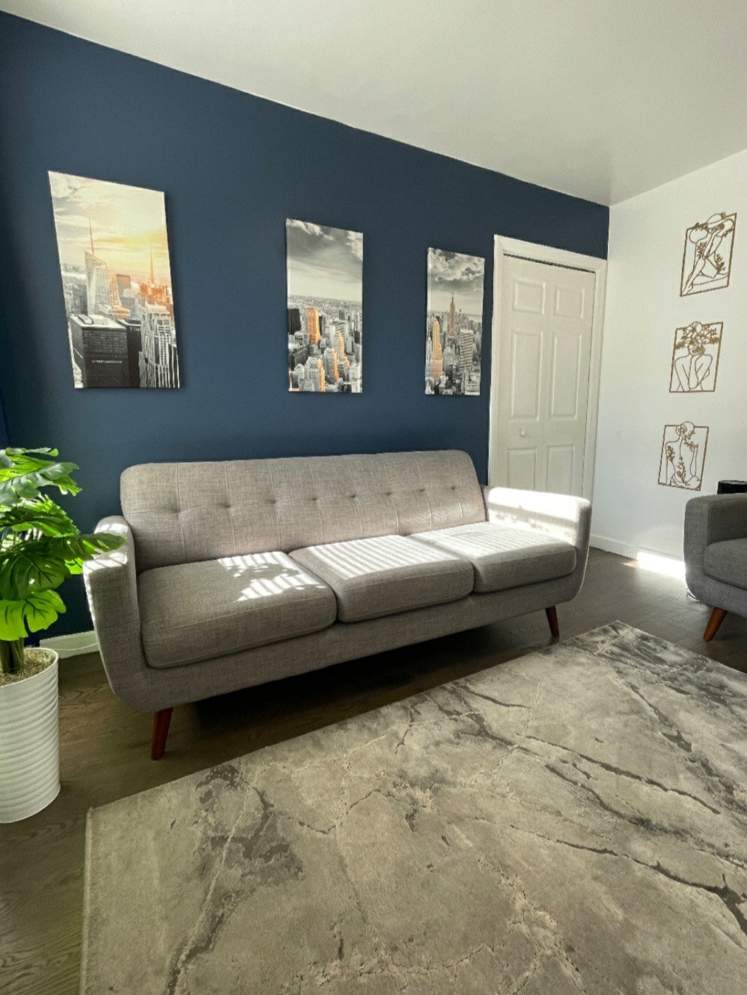 A modern living space features a gray sofa positioned against a dark blue wall adorned with three cityscape prints. Natural light filters through the window, casting shadows on a plush area rug. A green potted plant adds a touch of nature to the scene.
