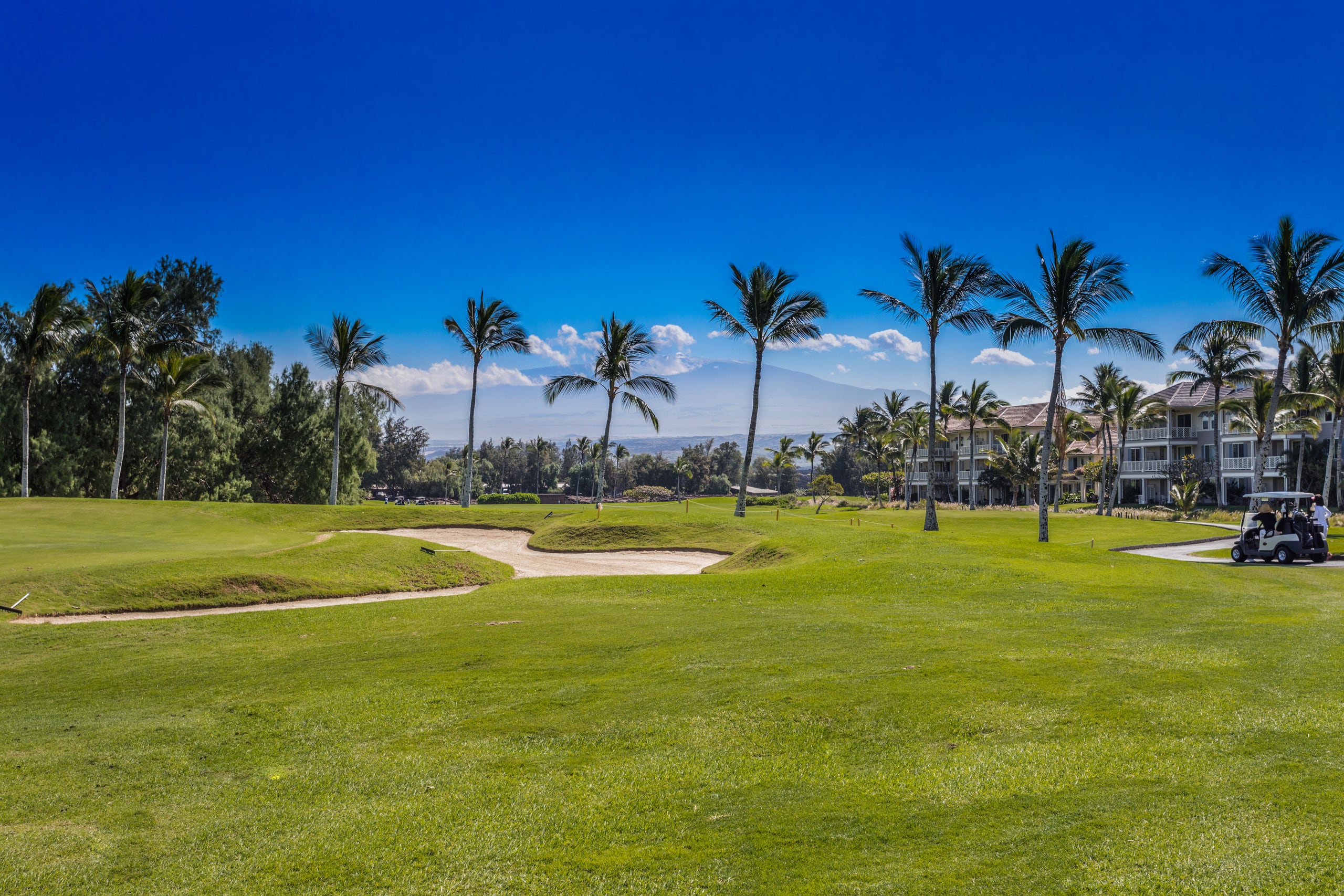 Fairway Villas Waikoloa Golf View 2BD/2BA + Loft - Photo 55