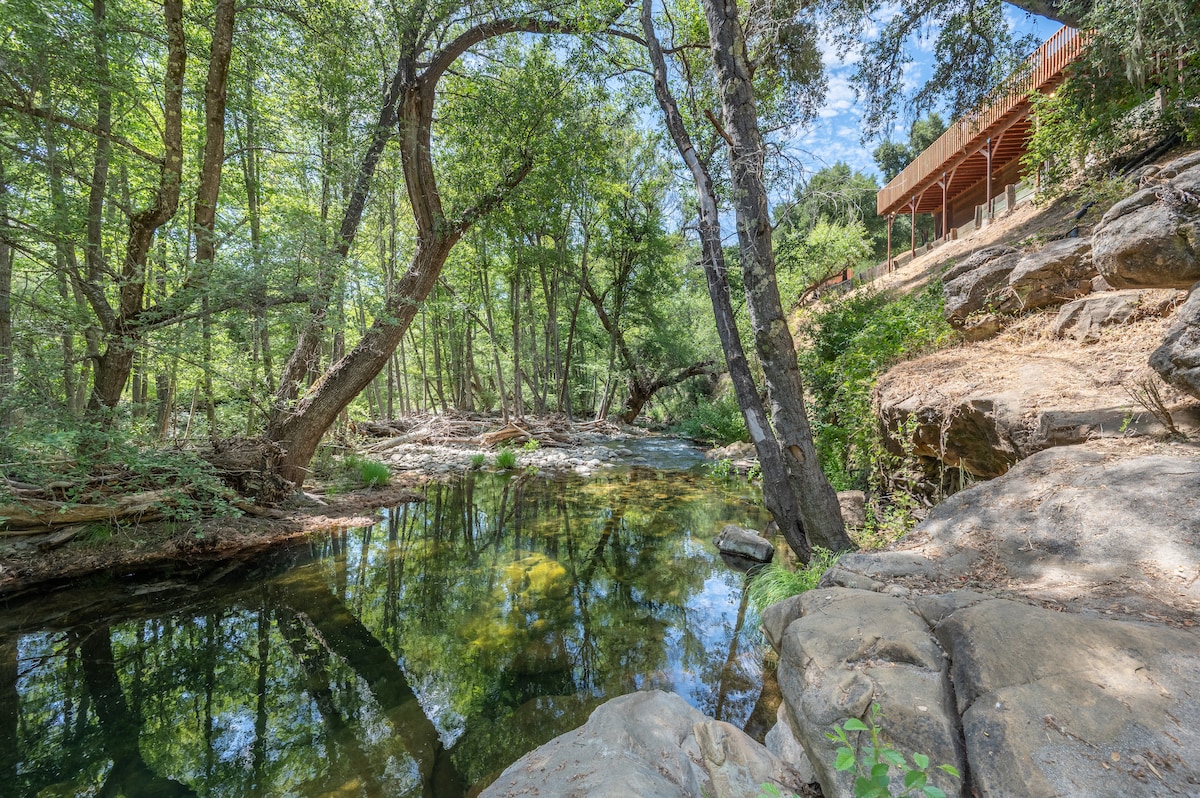 A serene riverfront scene features a calm water hole surrounded by lush greenery. Large trees arch gracefully over the water, while smooth rocks line the riverbank. Sunlight filters through the leaves, creating a peaceful atmosphere in this natural setting.