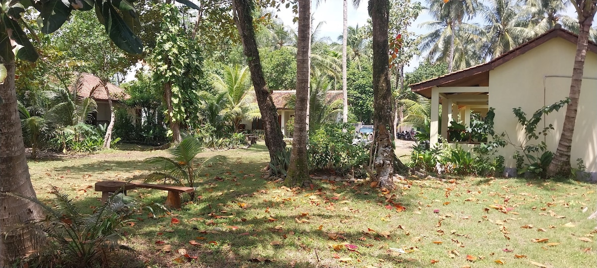 Lush gardens surround the bungalows, featuring verdant palm trees and scattered tropical plants. A wooden bench is positioned beneath a tree, while colorful leaves cover the grass, creating a serene outdoor setting. Bungalows are visible in the background, blending harmoniously with the natural environment.