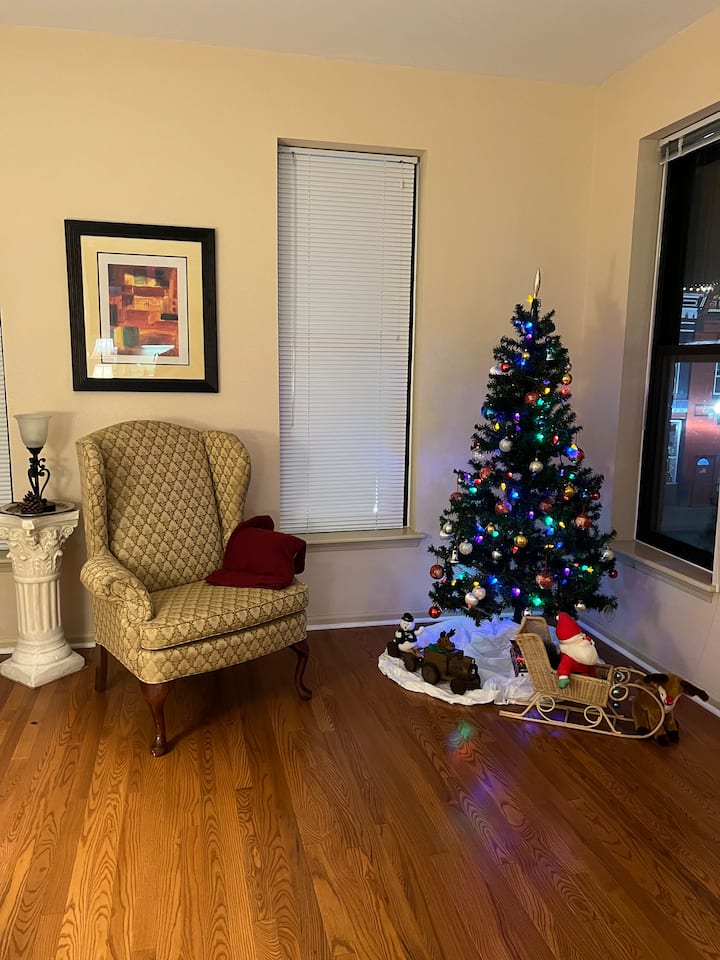 Spacious, Vibrant Downtown AptNO Cleaning Fee! Apartments for Rent