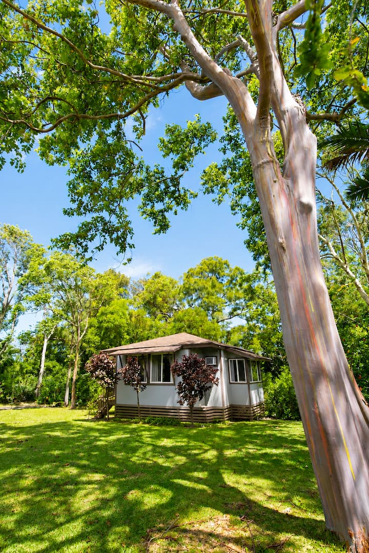 Rainbow Eucalyptus House + Private Yard - 할아이와