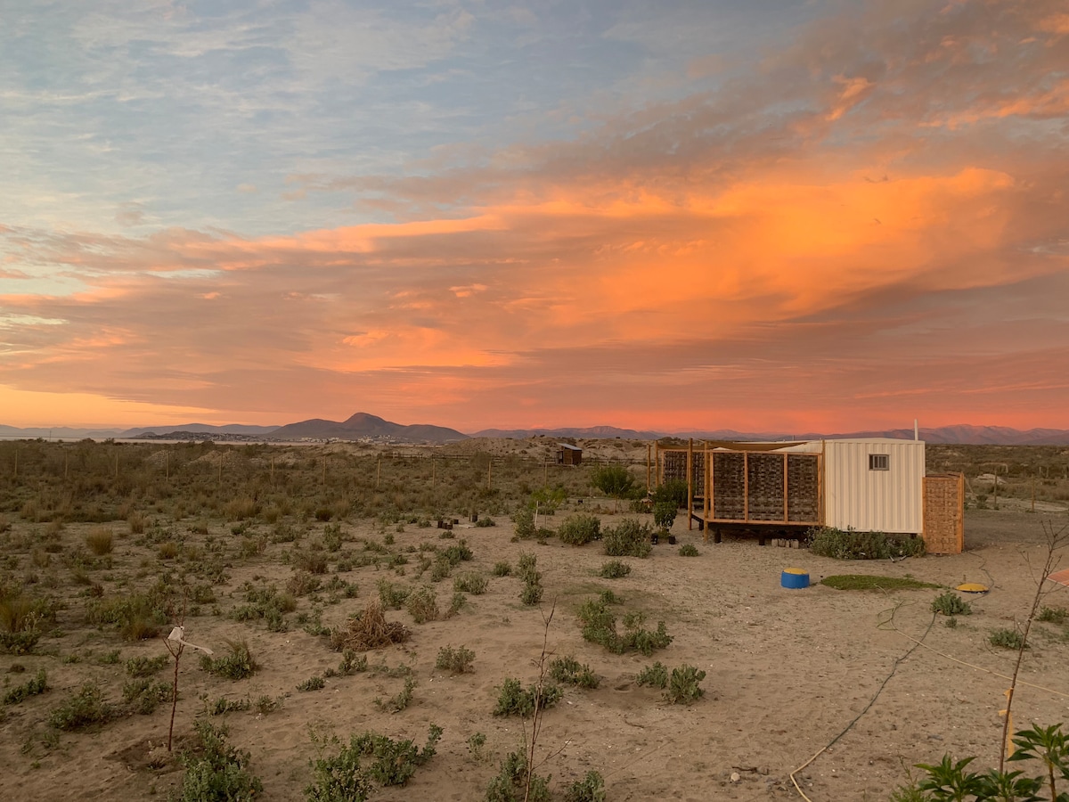 A rustic cabin is situated amidst an open landscape, with low vegetation surrounding it. A vibrant sunset casts warm hues across the sky, complementing the distant mountains. The cabin features large windows, providing views of the serene natural setting.