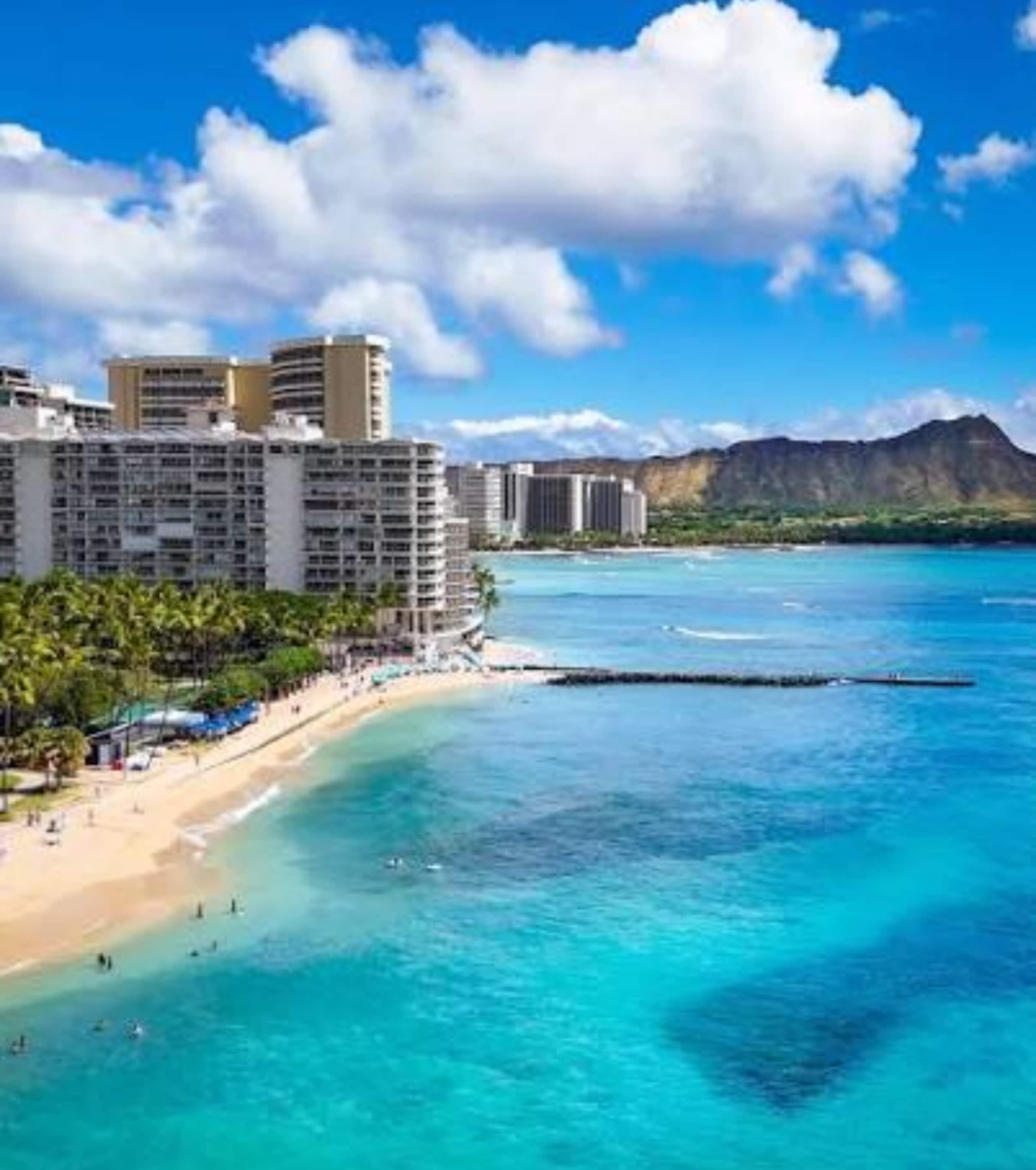 Condo in Honolulu · ★4.83 · Studio · 1 bed · 1 bath - Image 12