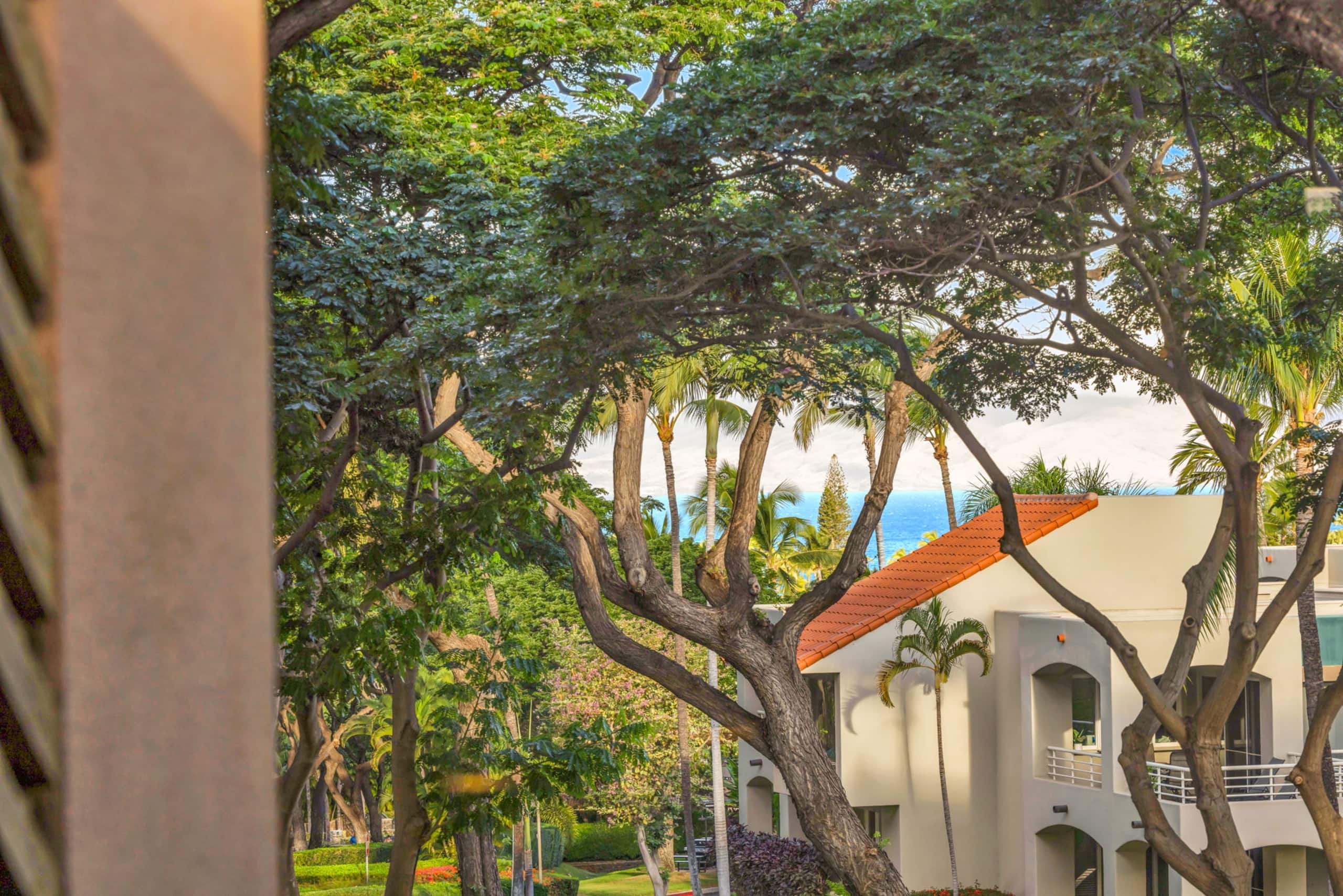 Condo in Kihei · ★5.0 · 1 bedroom · 2 beds · 1 bath - Image 33