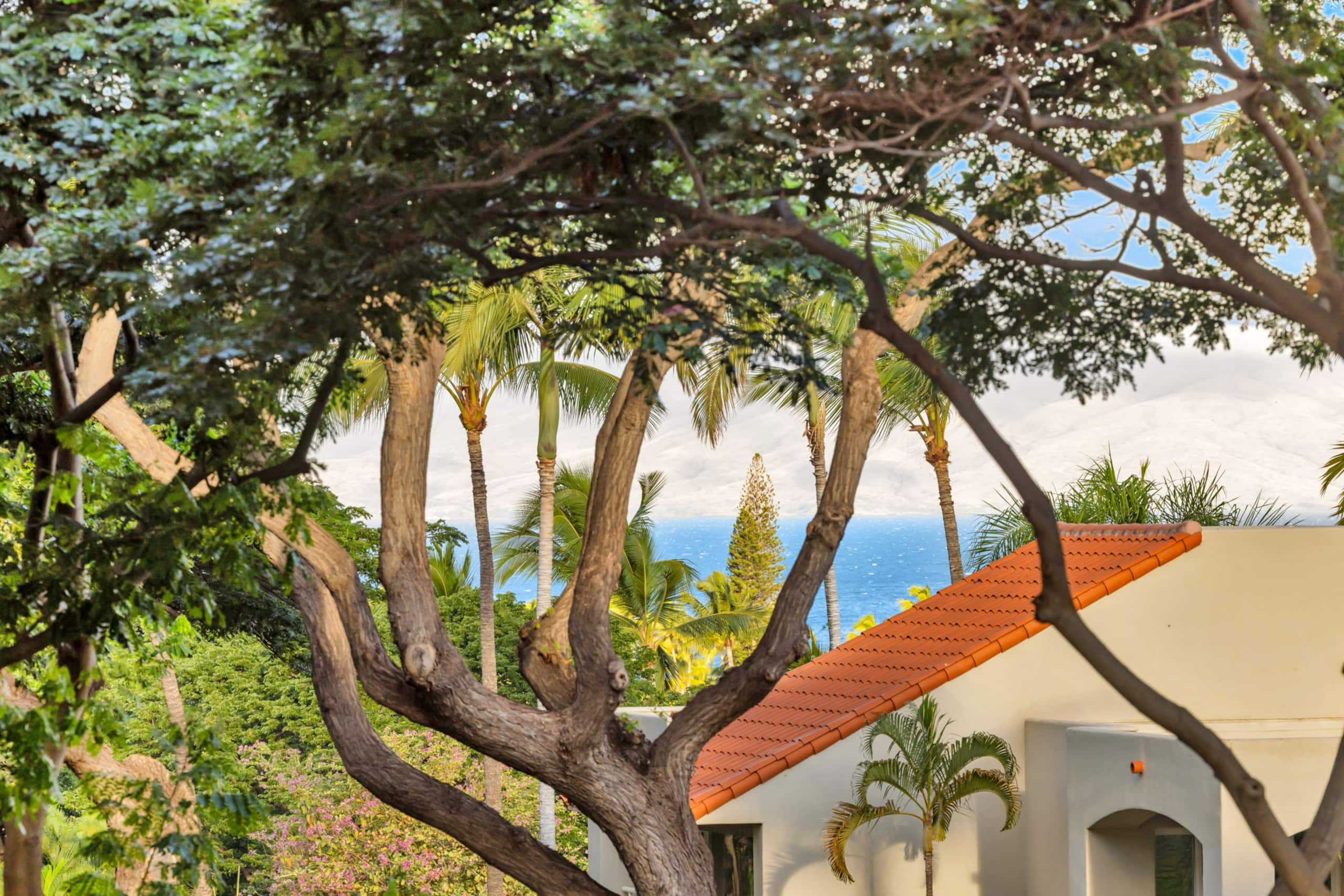 Condo in Kihei · ★5.0 · 1 bedroom · 2 beds · 1 bath - Image 32
