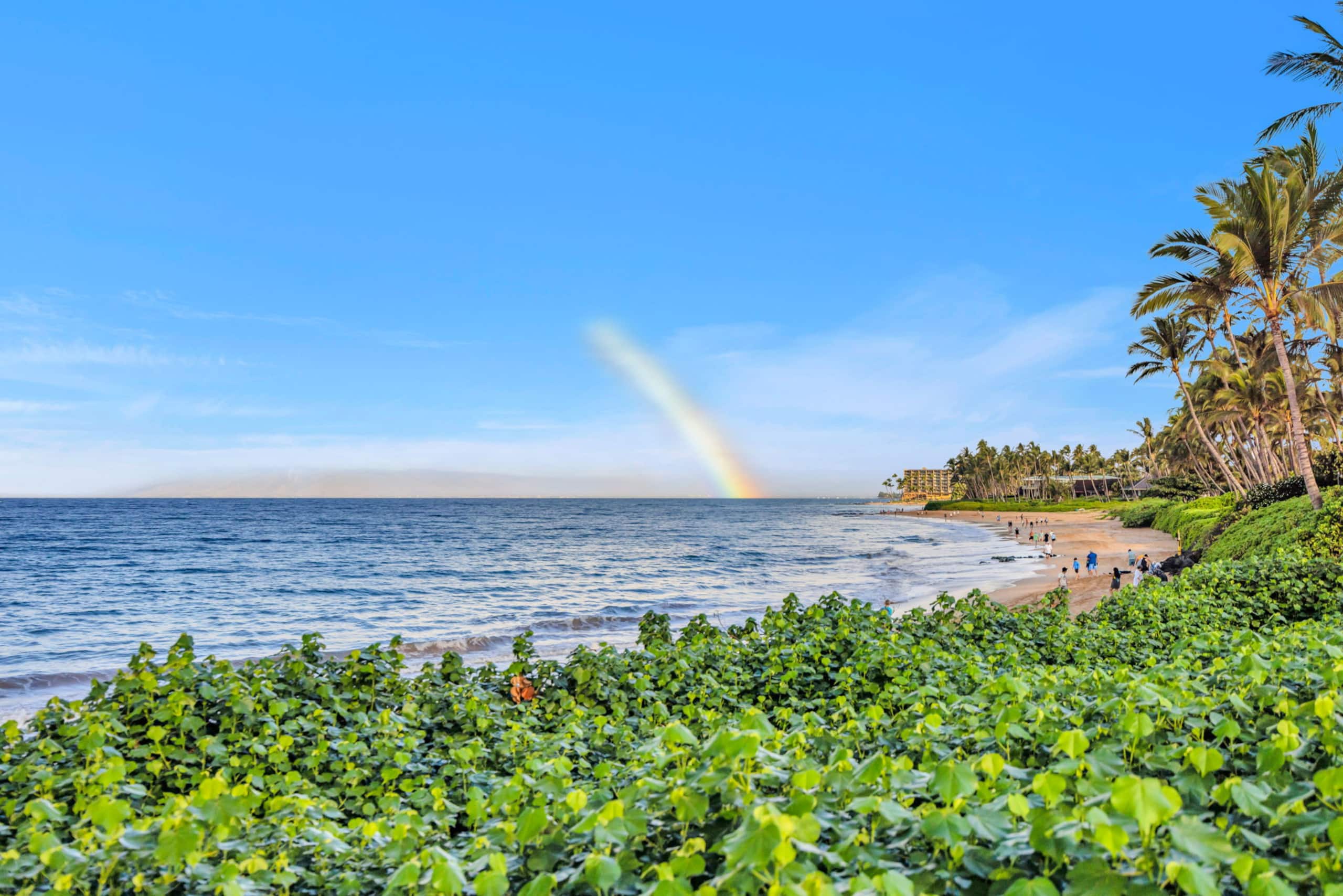Condo in Kihei · ★5.0 · 1 bedroom · 2 beds · 1 bath - Image 80