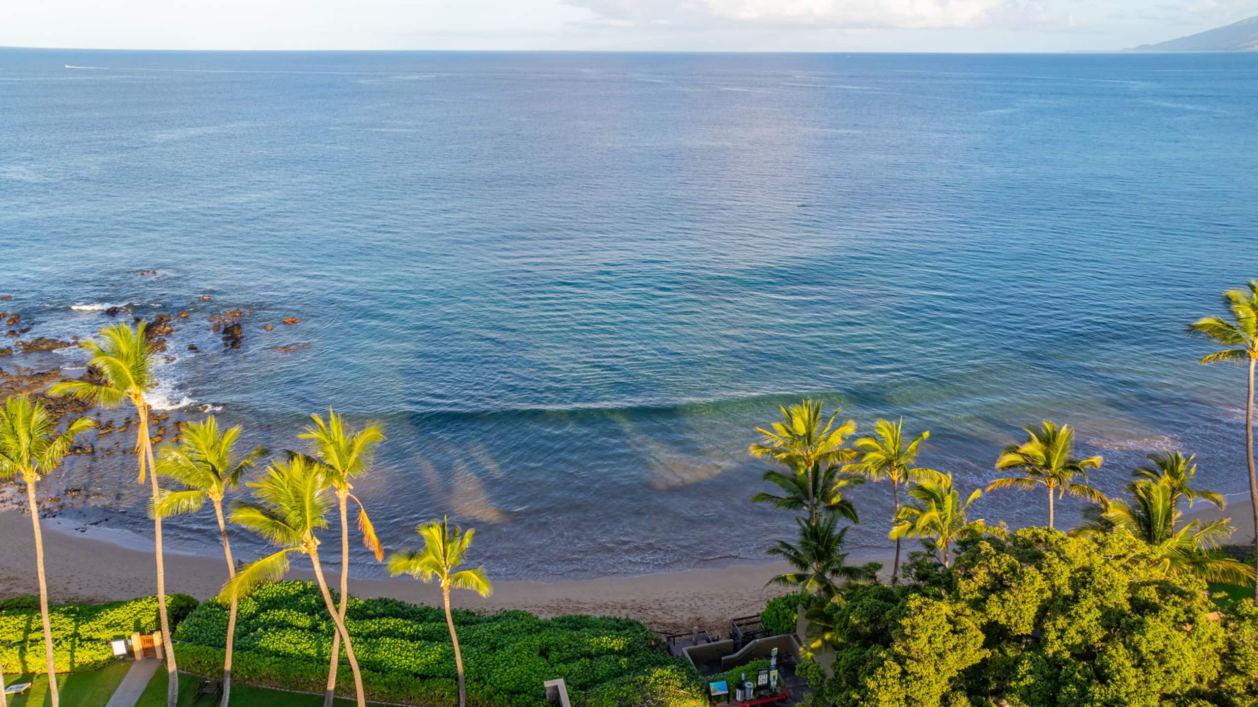 Condo in Kihei · ★5.0 · 1 bedroom · 2 beds · 1 bath - Image 83