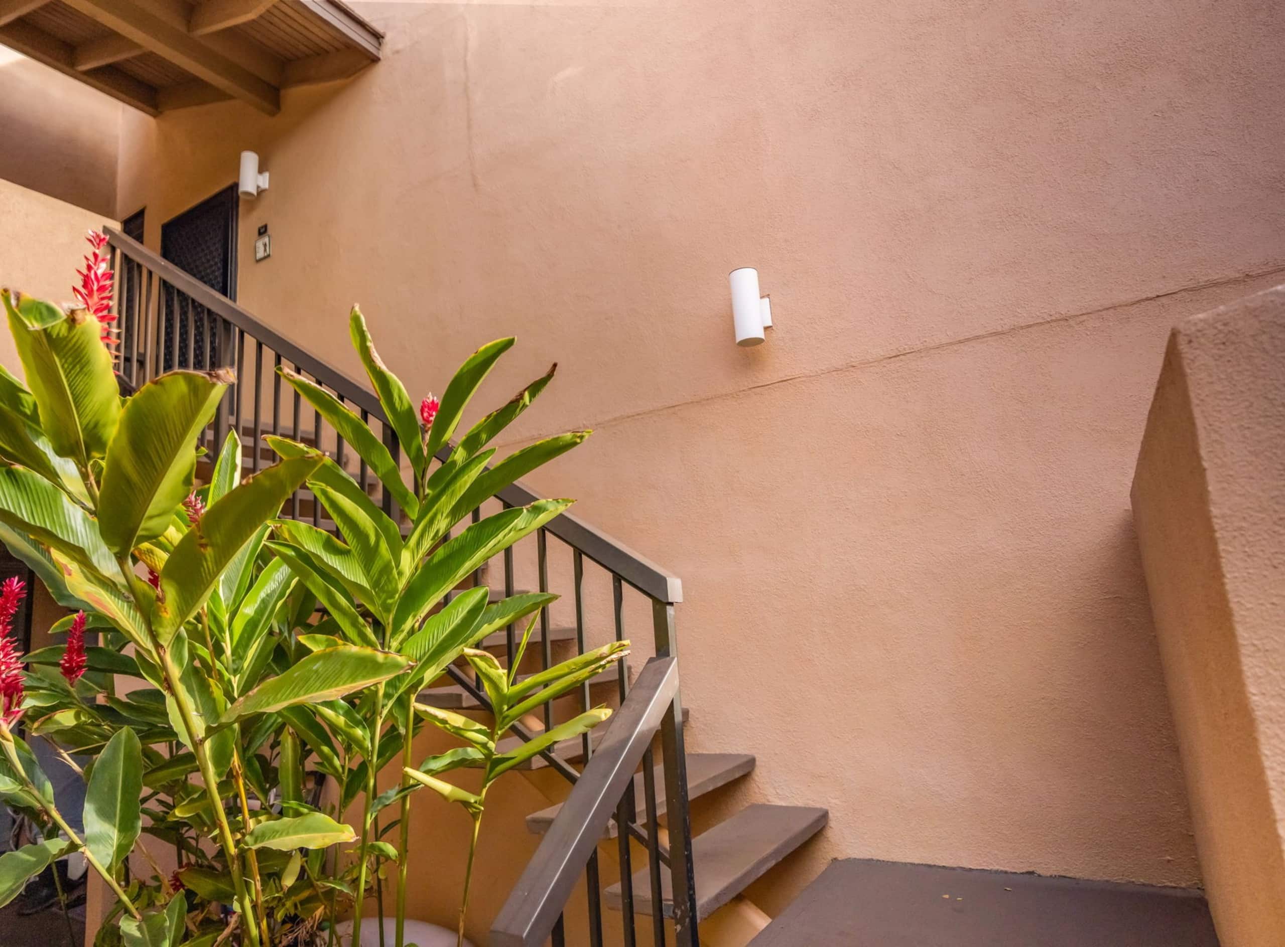 Condo in Kihei · ★5.0 · 1 bedroom · 2 beds · 1 bath - Image 39