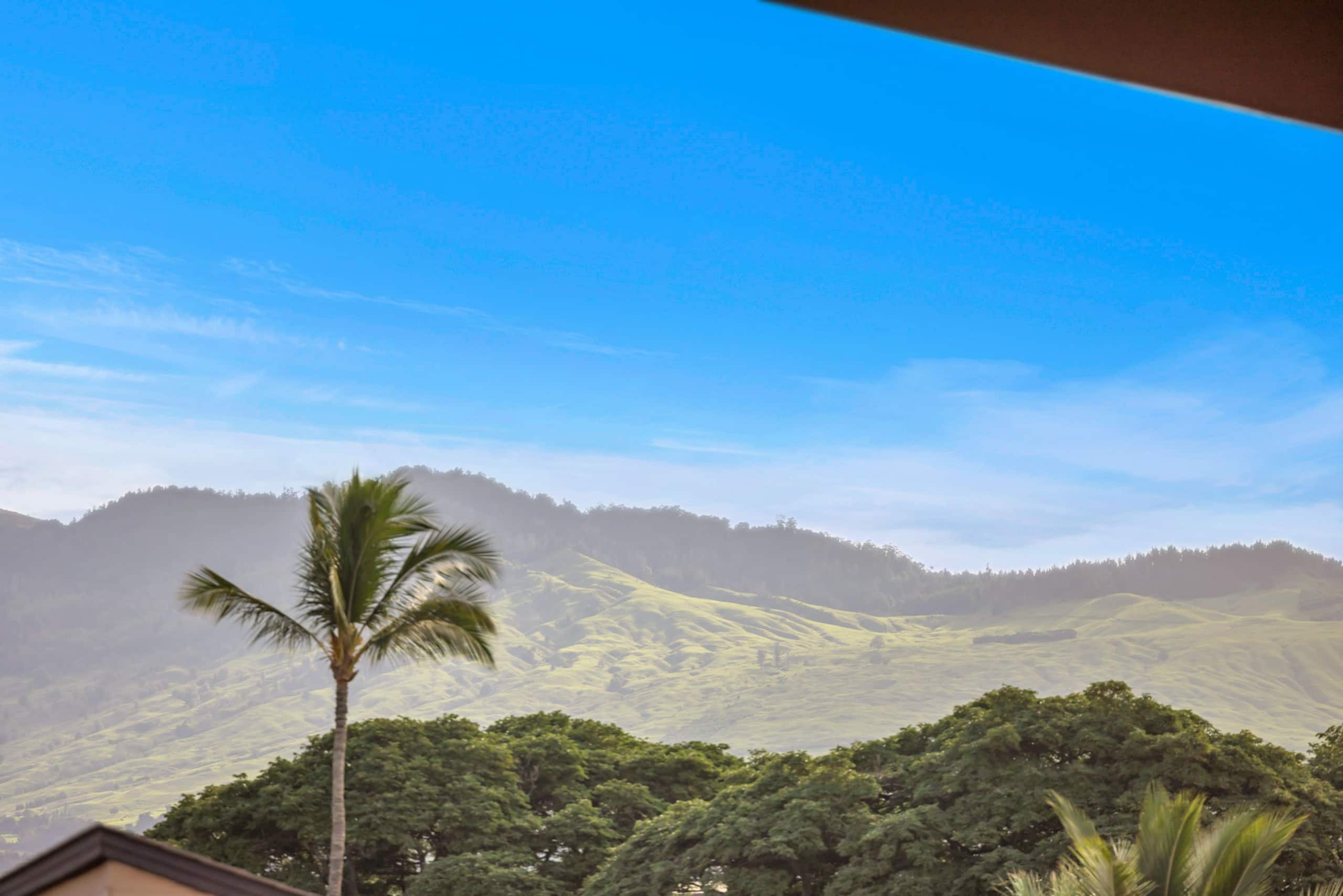 Condo in Kihei · ★5.0 · 1 bedroom · 2 beds · 1 bath - Image 25