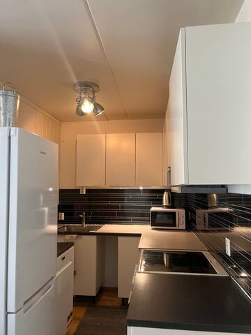 Oslo City Apt in the heart of Oslo gallery image 5