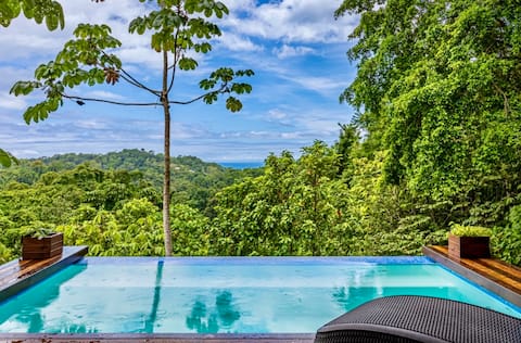 Luxury ocean view, infinity pool, b/fast, eve meal