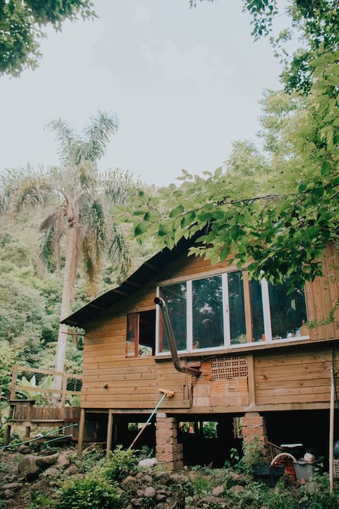 Spirit Cabin - Woods