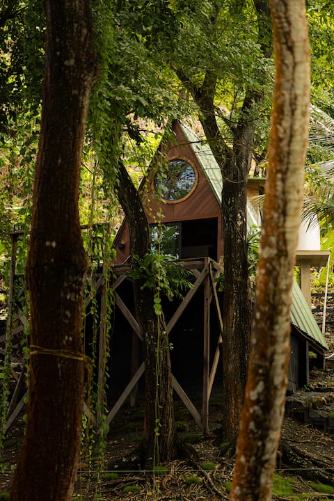 Capurgana Oceanfront Cabana:Where Jungle Meets Sea