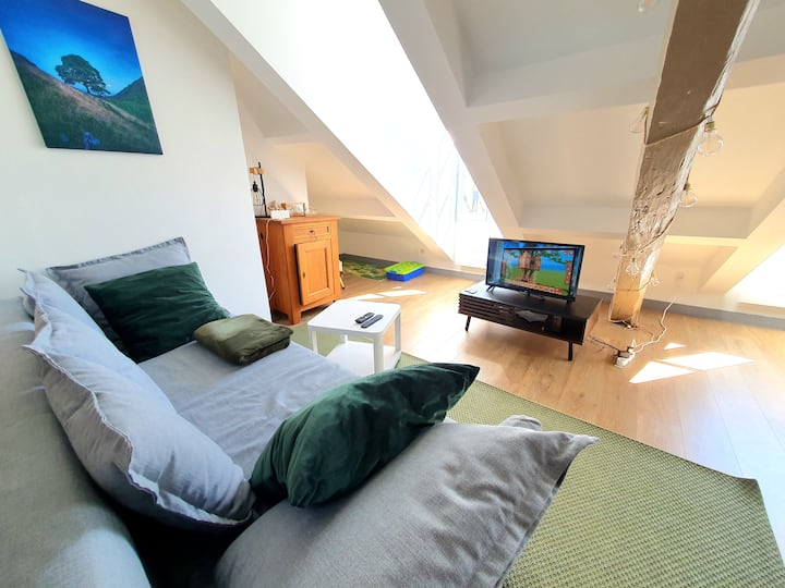 Duplex Vue Sur Le Château-fort De Sedan - Sedan