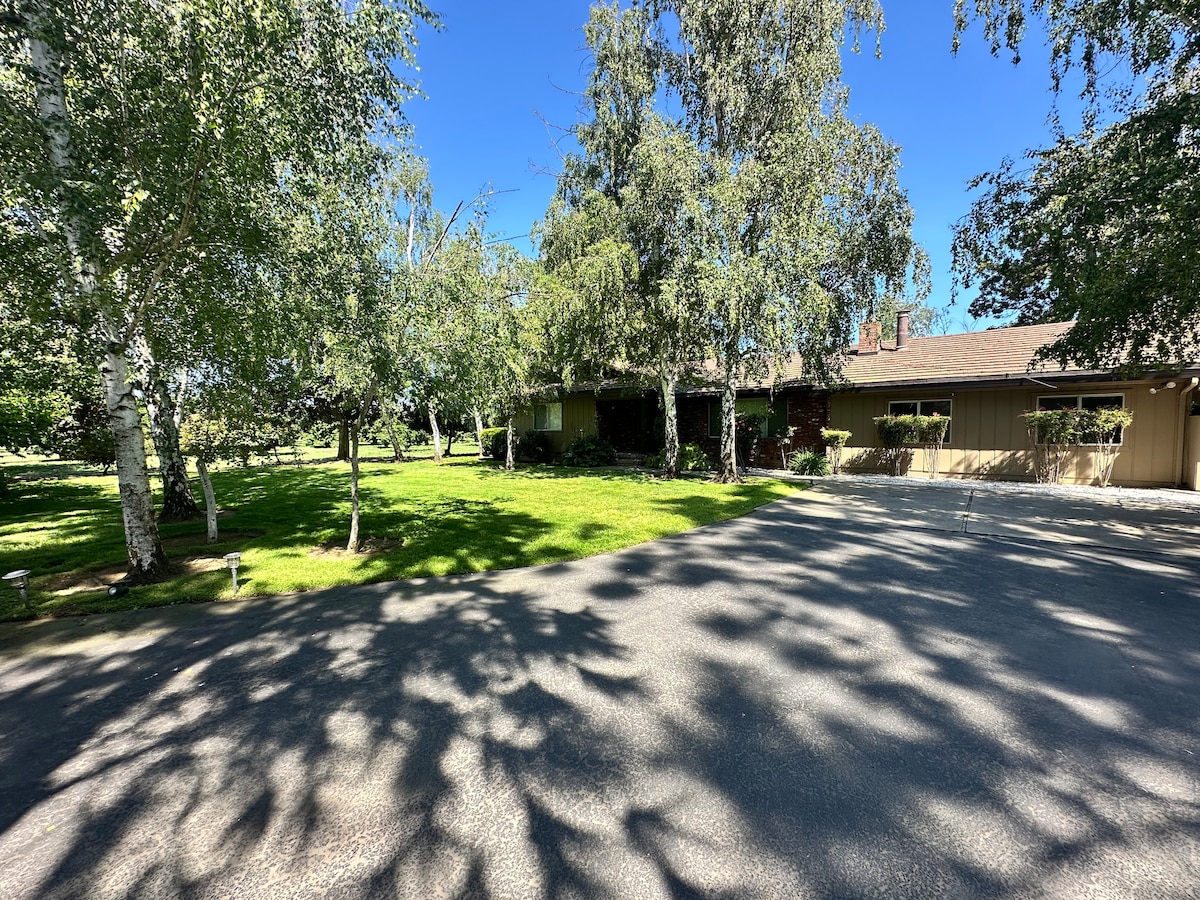 A well-maintained country home is set amidst lush greenery, featuring a vast lawn shaded by mature trees. The driveway leads to the entrance, with sunlight filtering through the leaves, casting soft shadows on the ground.