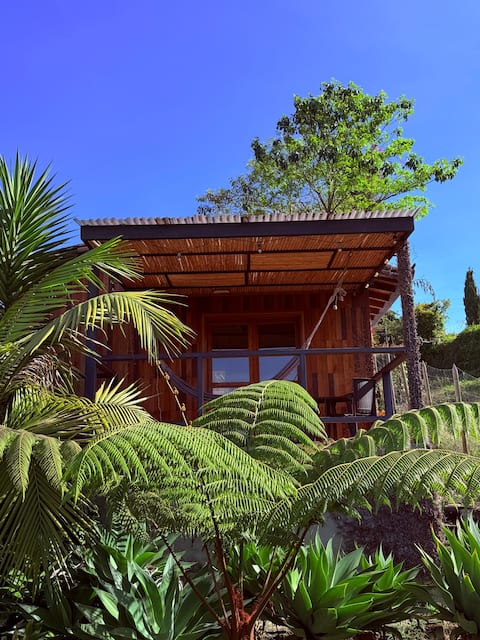 Top performing Airbnb: San Jose de las Bromelias Cabin in Marinilla