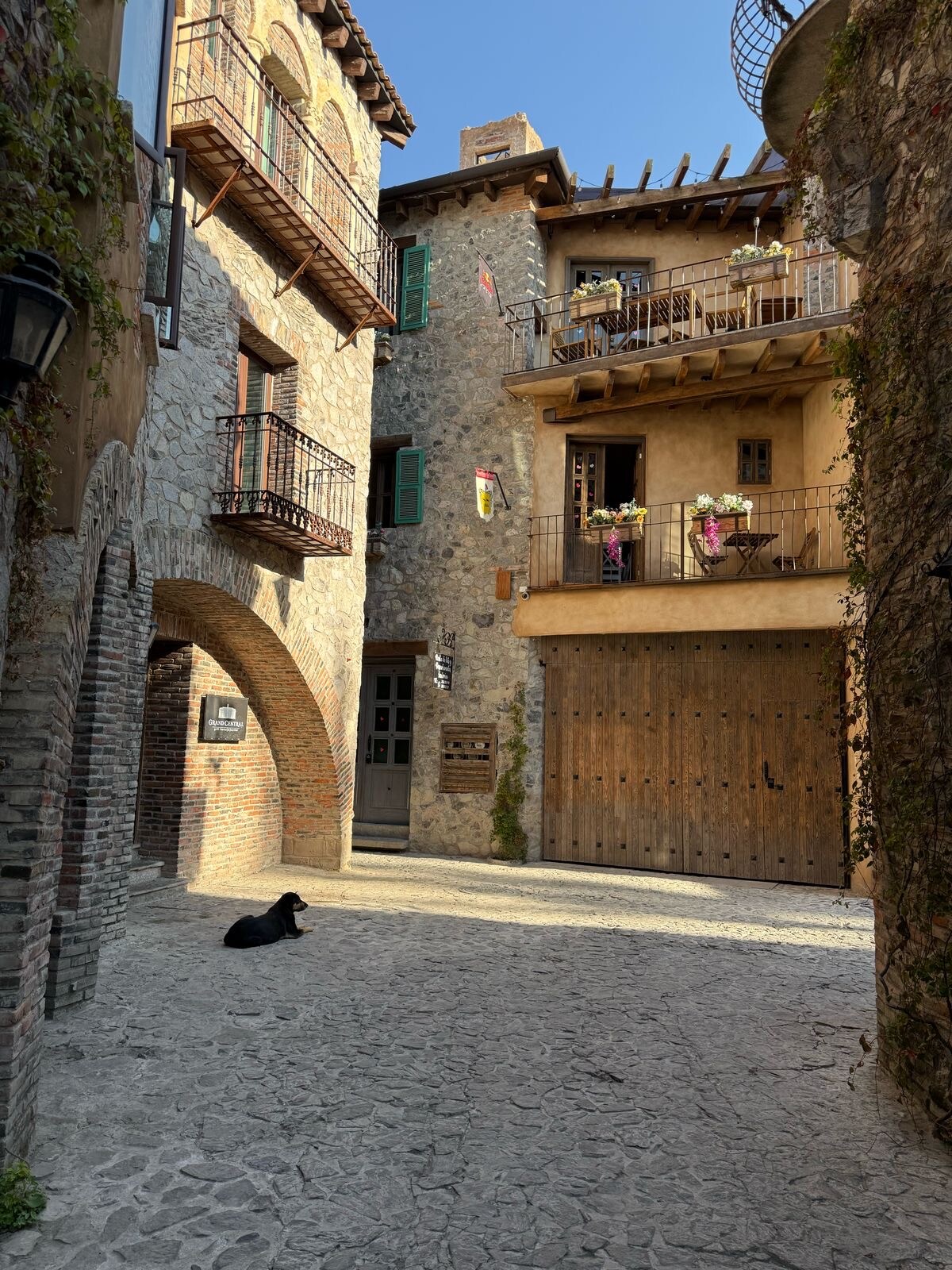 An inviting cobblestone street is framed by rustic stone buildings featuring balconies adorned with flowers. Sunlight filters down into the narrow alley, highlighting a calm black dog resting on the ground. A wooden door and various decorations complete the charming urban scene.