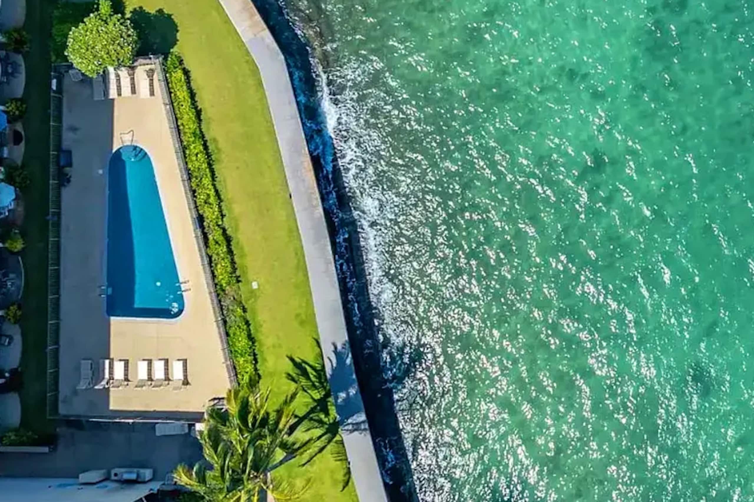 Condo in Lahaina · ★4.92 · 1 bedroom · 2 beds · 1 bath - Image 42