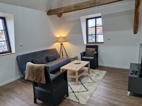 Beautiful apartment in the city center.