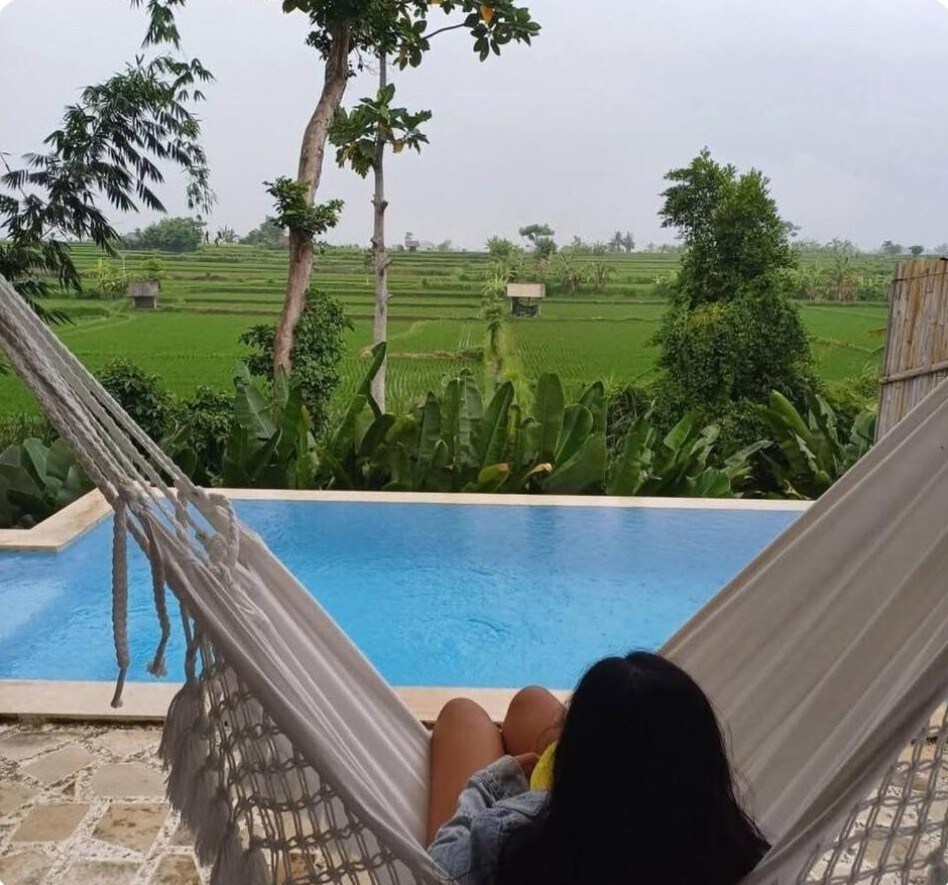 A tranquil view is presented from a hammock, overlooking a lush green landscape of rice fields. A swimming pool is visible in the foreground, reflecting the surrounding greenery. Trees and tropical plants frame the scene, enhancing the peaceful atmosphere.