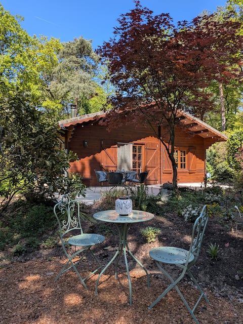 Unique and cozy chalet in the forest near Nijmegen.