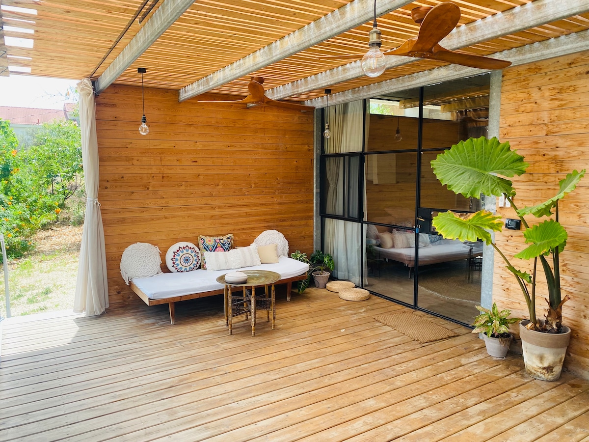 An outdoor terrace features a wooden deck, adorned with a comfortable seating area. Natural elements are highlighted by a large potted plant and decorative pillows. The space is framed by a combination of wooden walls and large windows, inviting ample natural light.