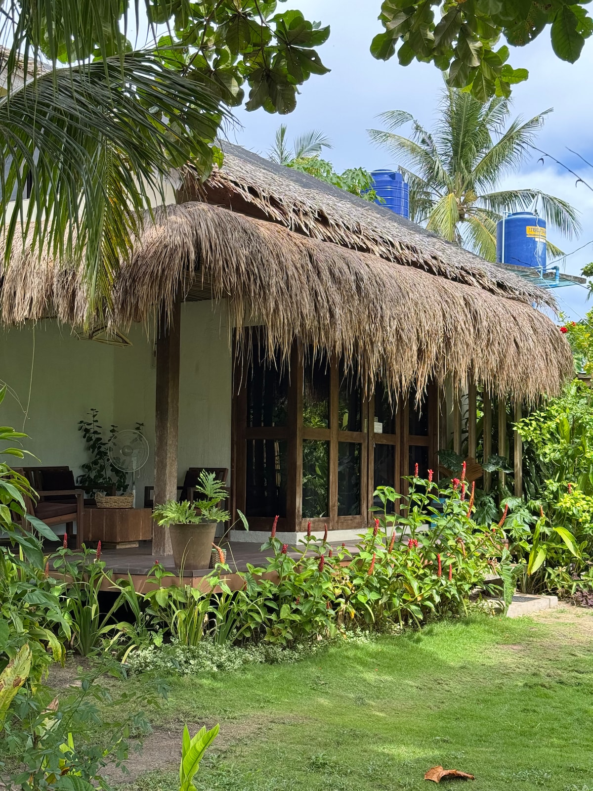 A traditional cottage adorned with a thatched roof is surrounded by lush greenery. The structure features large glass windows that provide a view of the outdoor area, and tropical plants line the path leading to the entrance.
