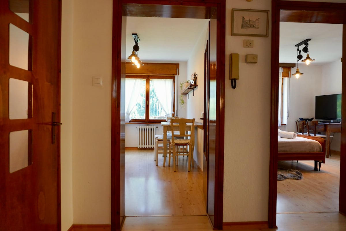 Top performing Airbnb: Apartment in Dolomite’s ski area in Belluno