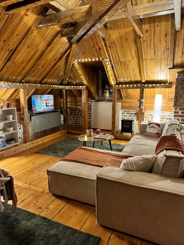 Un Chalet Dans La Ville - Colmar
