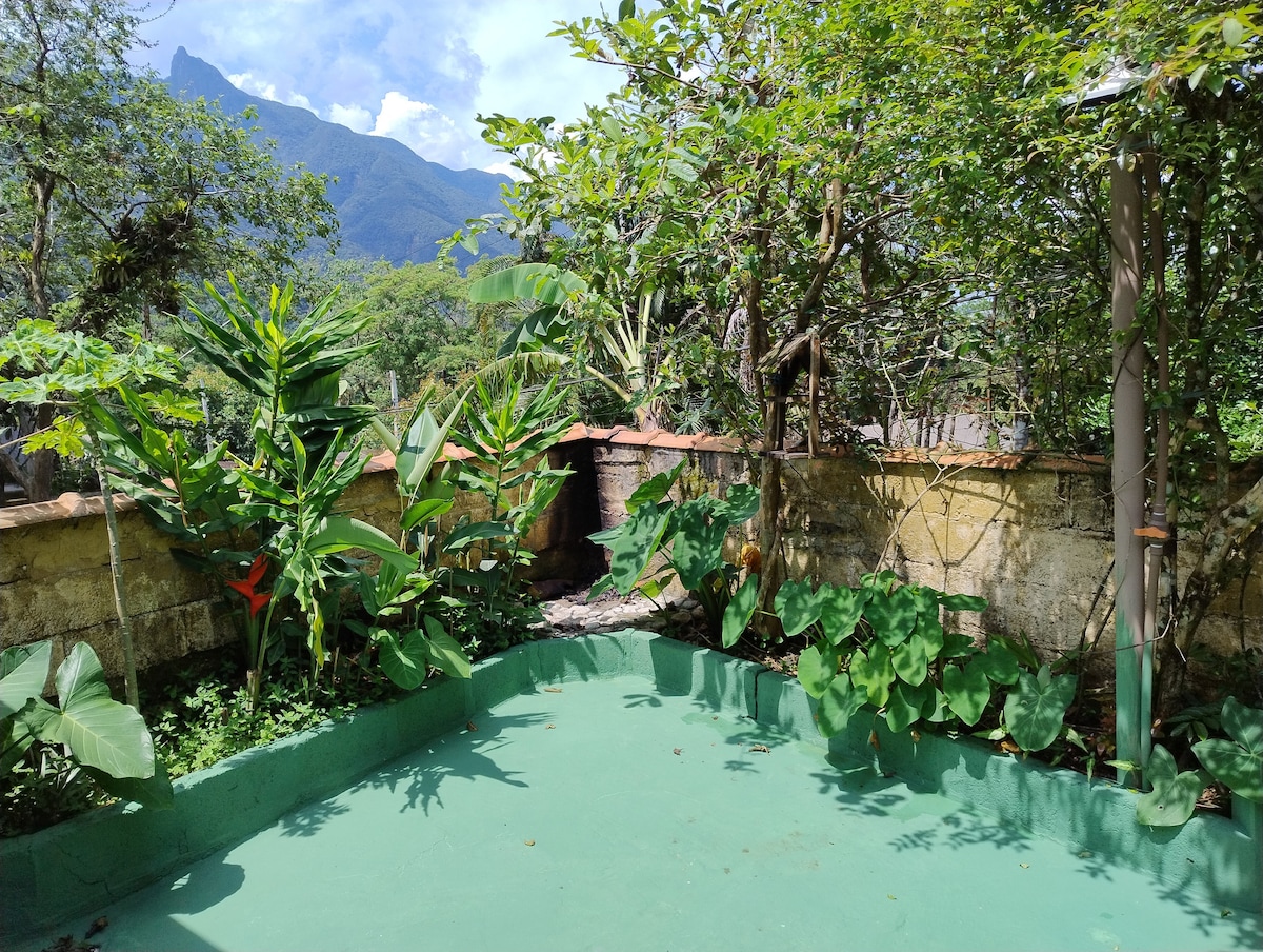 The outdoor area is surrounded by lush greenery, including tall plants and shrubs. A flat green surface creates a spacious feel, while a stone wall partially encloses the space. In the background, mountains are visible under a bright sky, adding natural beauty to the setting.
