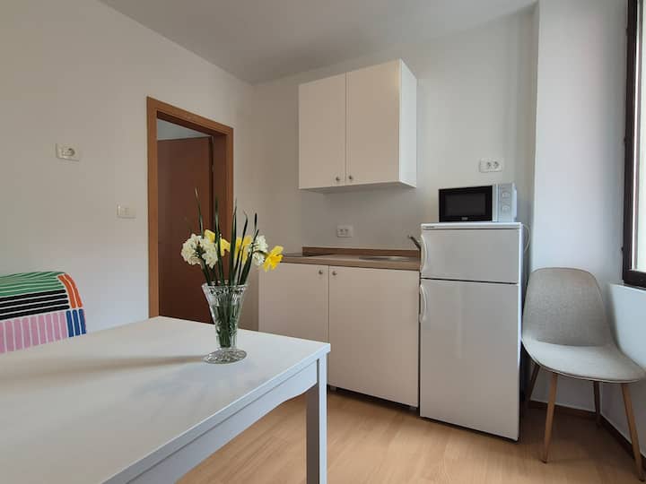 New 2026! Renovated 1-bedroom Near Tartini - Portorož