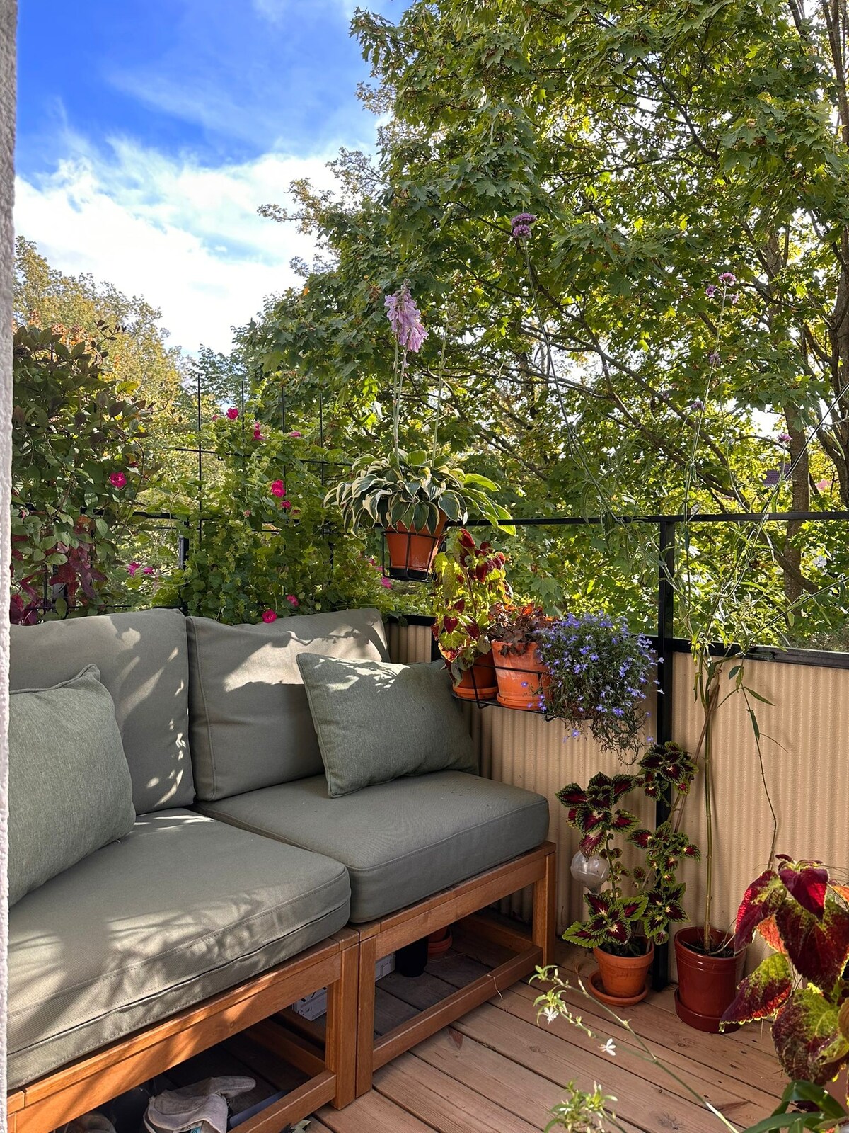 A balcony is adorned with lush greenery and colorful flowers in pots. Comfortable seating is provided on a wooden frame with soft cushions. The space is illuminated by natural light, creating a serene atmosphere surrounded by vibrant plant life.