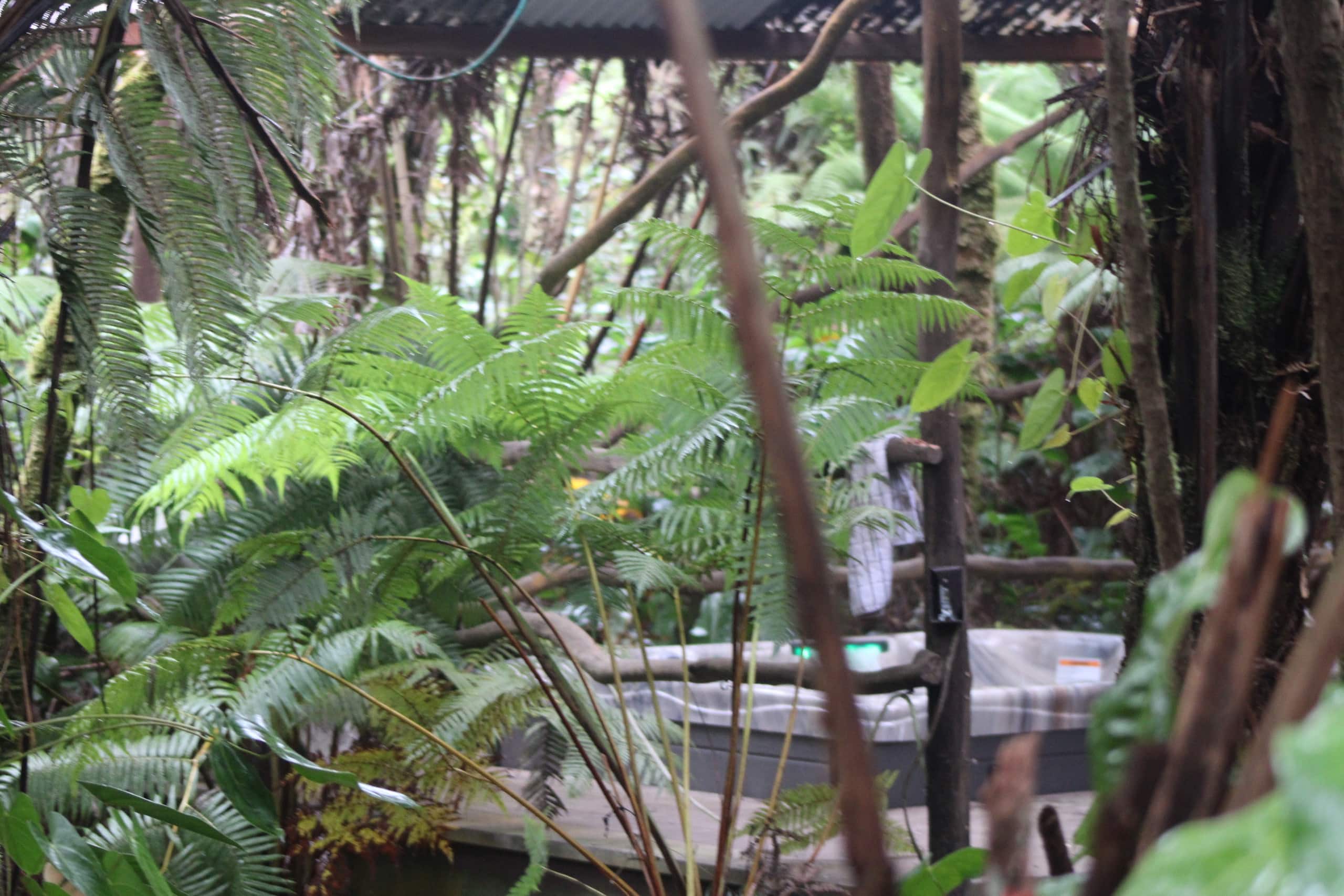 2-bedroom Volcano Tree House Getaway with Hot Tub - Photo 62