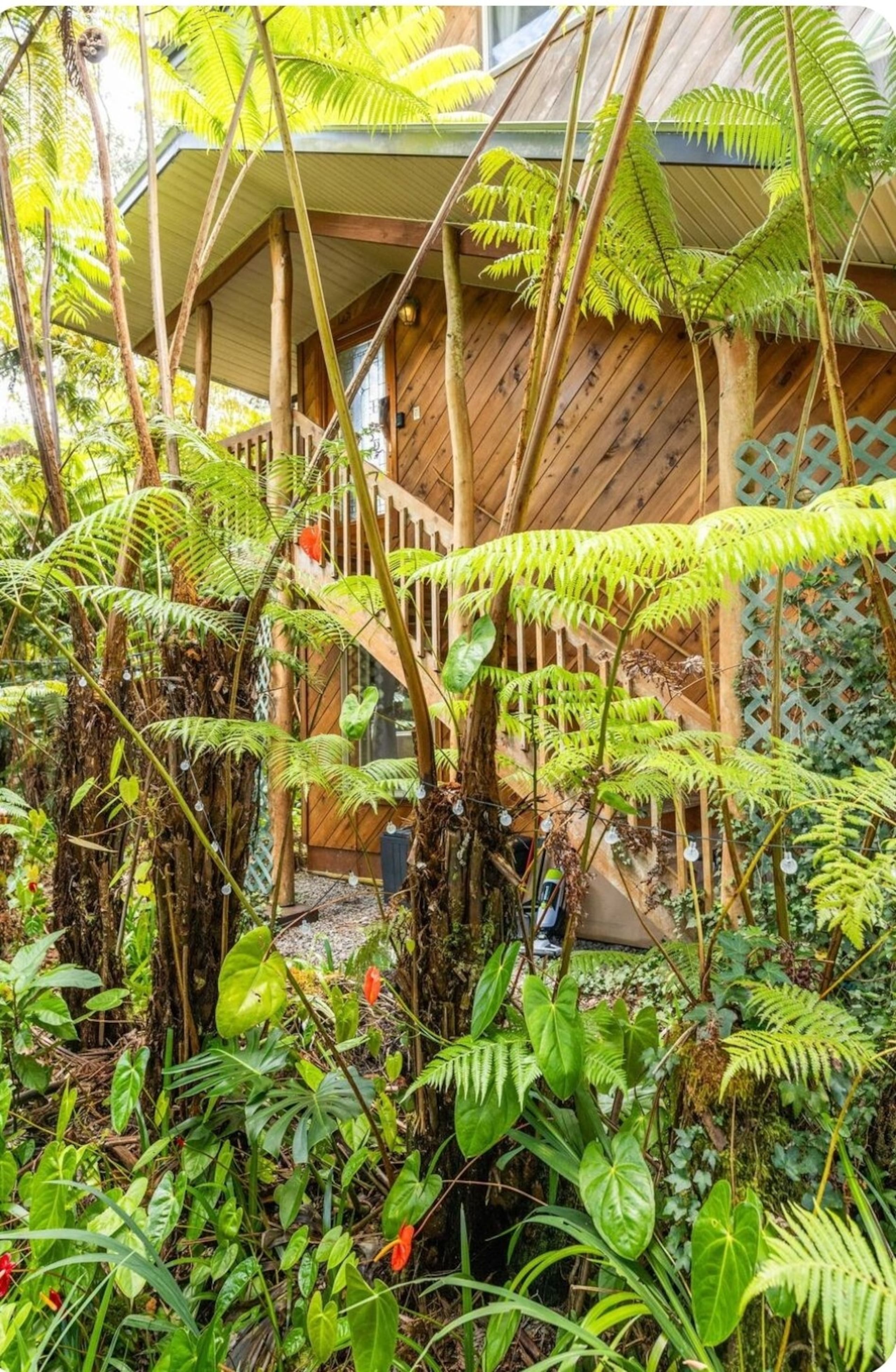 2-bedroom Volcano Tree House Getaway with Hot Tub - Photo 57