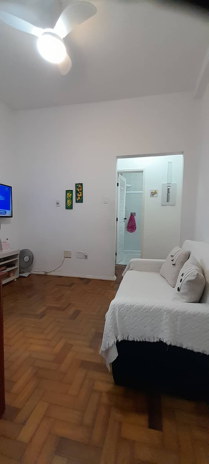 Salon avec télévision connectée avec wifi et canapé-lit.