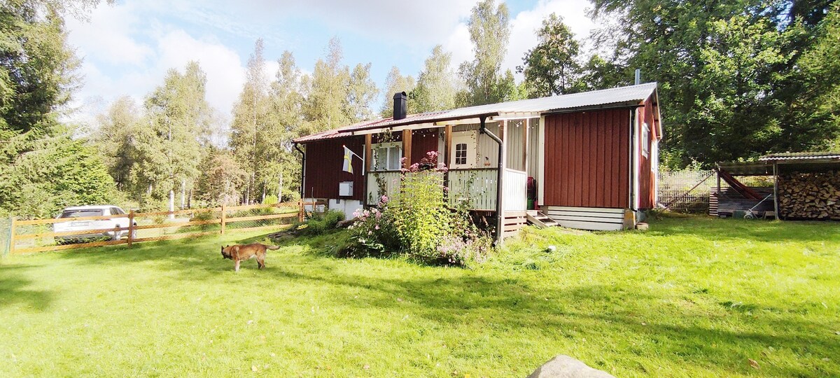A traditional Swedish red cottage is presented, surrounded by a lush green lawn. The porch is visible, adorned with potted plants and a welcoming entrance. A dog can be seen in the yard, alongside areas for parking and a woodpile in the background.