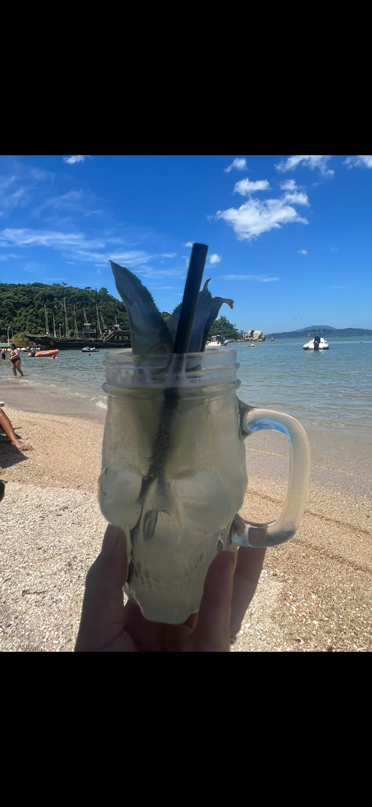 Apê da Ingrid - Praia de Palmas - SC 19