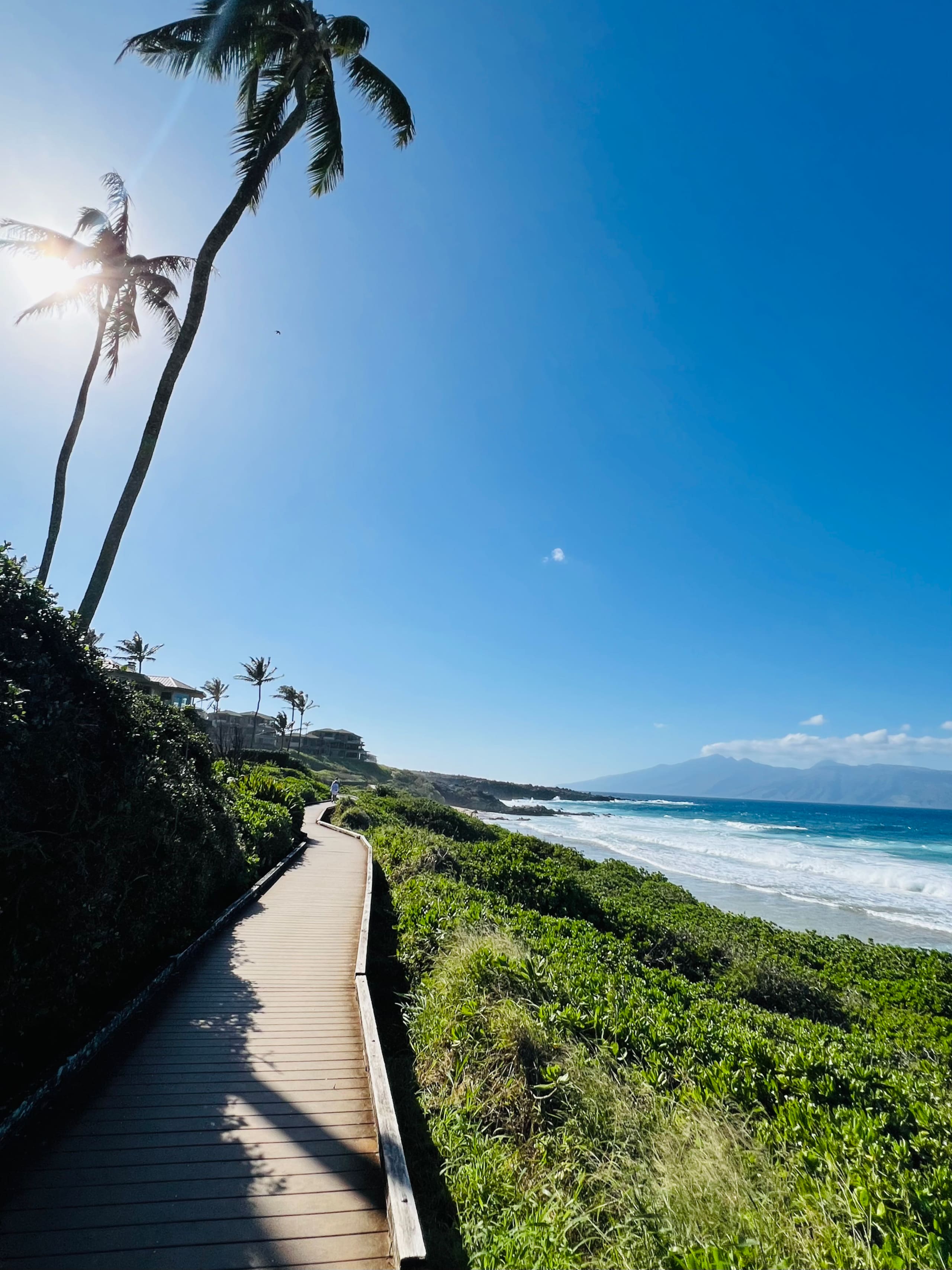 Townhouse in Lahaina · ★4.96 · 3 bedrooms · 5 beds · 2.5 private baths - Image 32