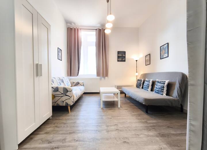 Appartement Spacieux Proche De Bourg En Bresse - Bourg-en-Bresse
