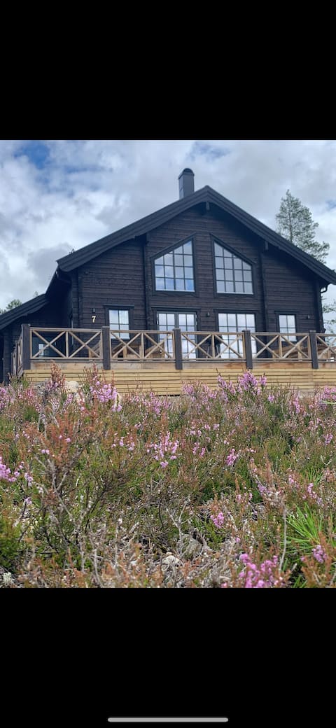 Mountain cabin Idre Himmelfjäll