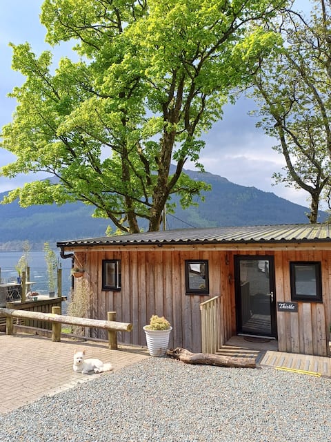 Ardmay Luxury Cabins - Thistle