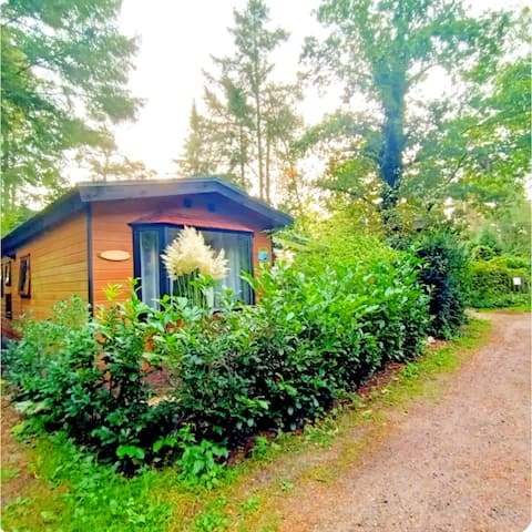 Boshuisje de Bosrand on the Veluwe!