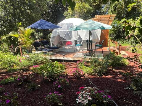 Jungle Geodome