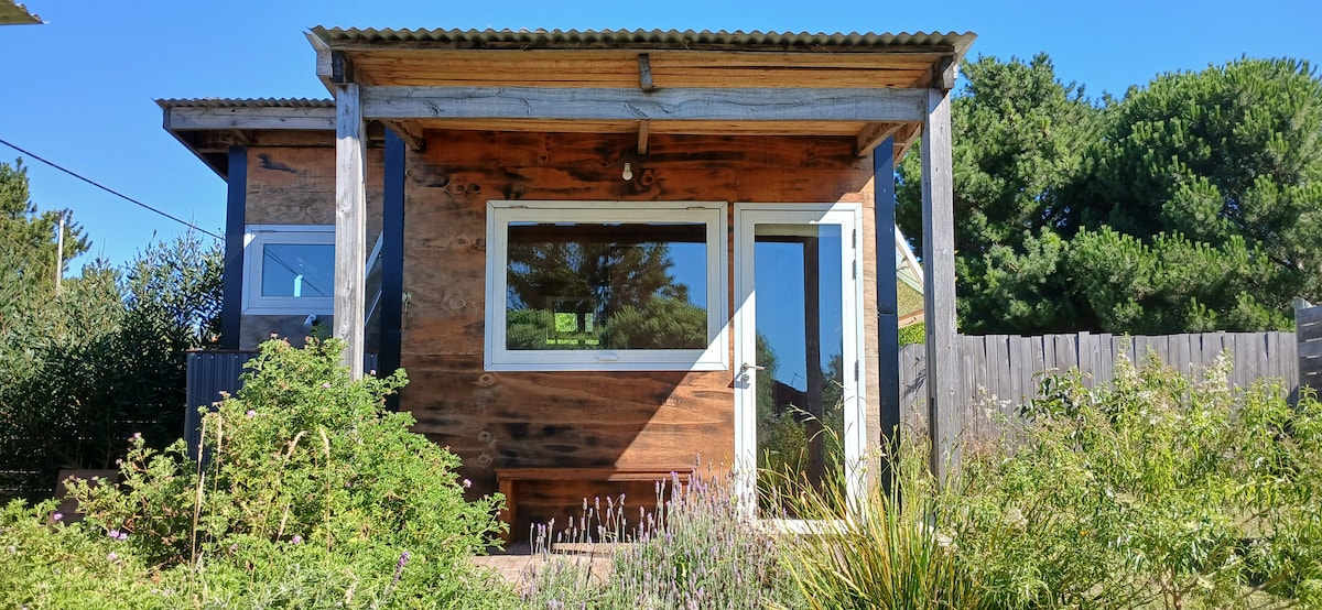 The exterior of the mini house features natural wood paneling and large windows, allowing for ample natural light. Lush greenery surrounds the entrance, creating a welcoming environment. The roof is covered with metal panels, providing a rustic charm.